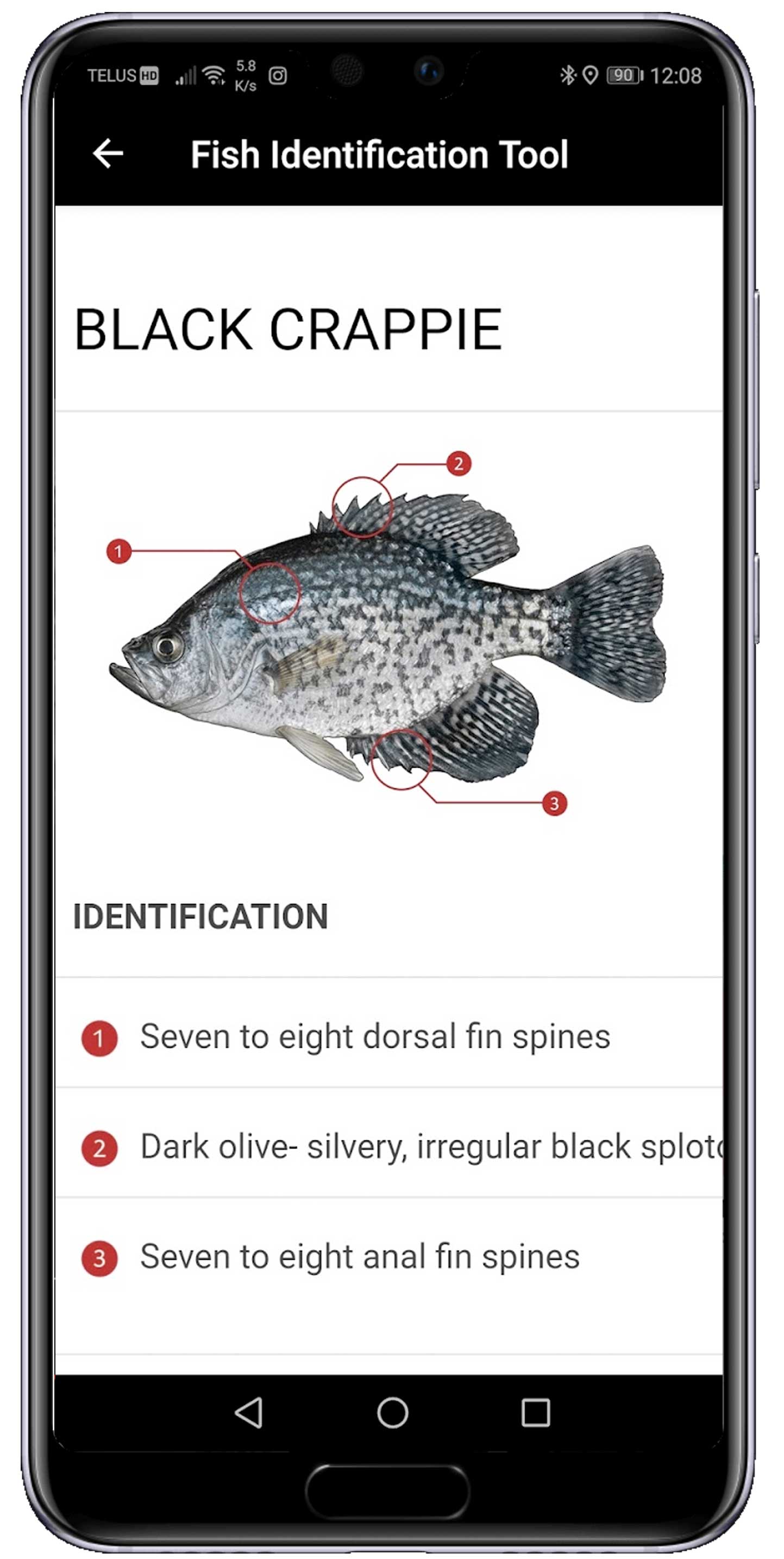 Fish Identification Tool